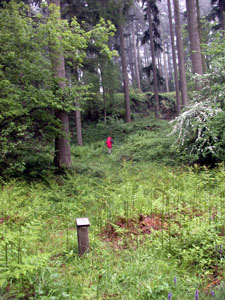 Location 3 on the Mortimer Forest Geology Trail